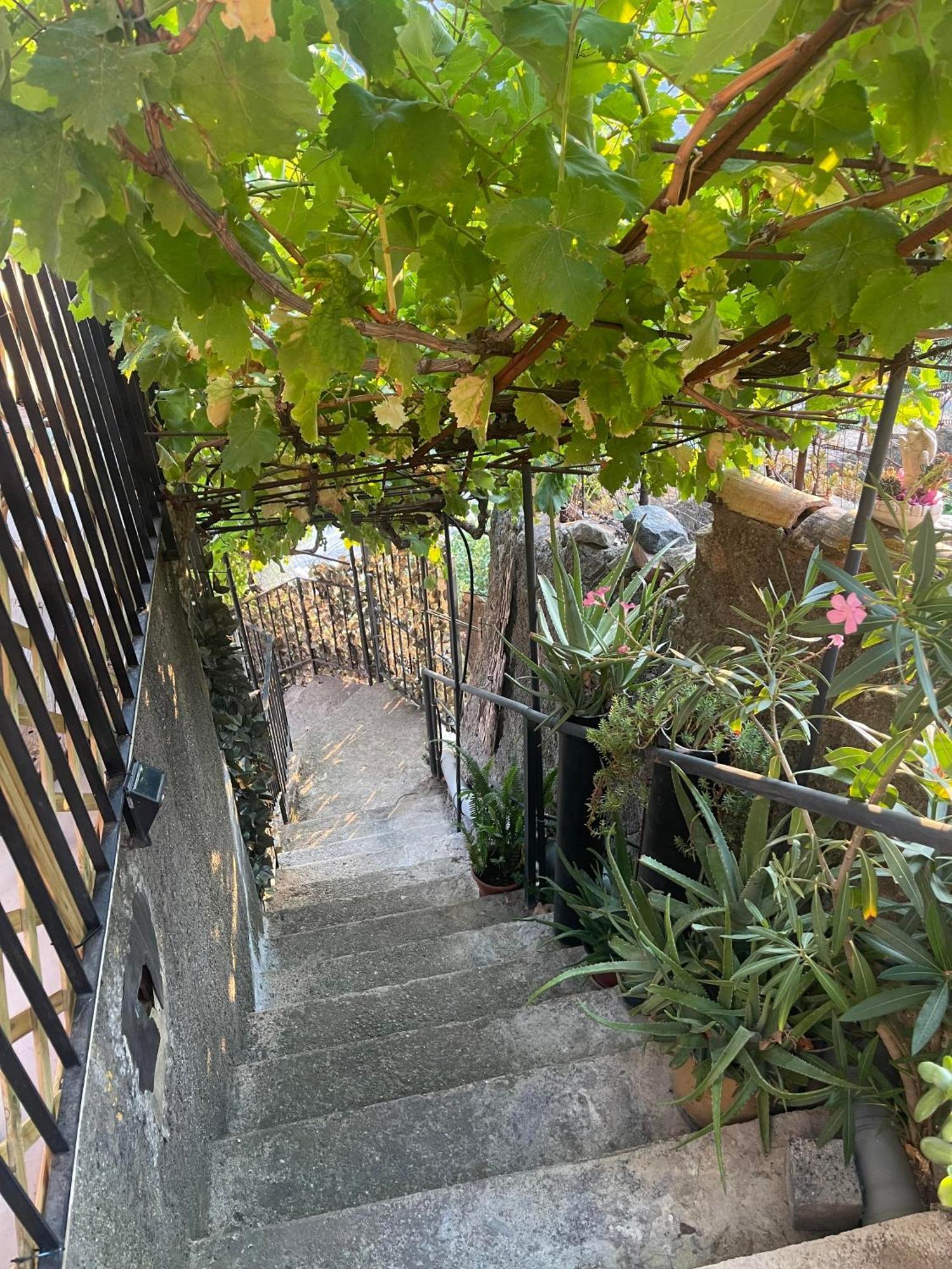 הוילה פורצה דרגו The Secret Garden מראה חיצוני תמונה